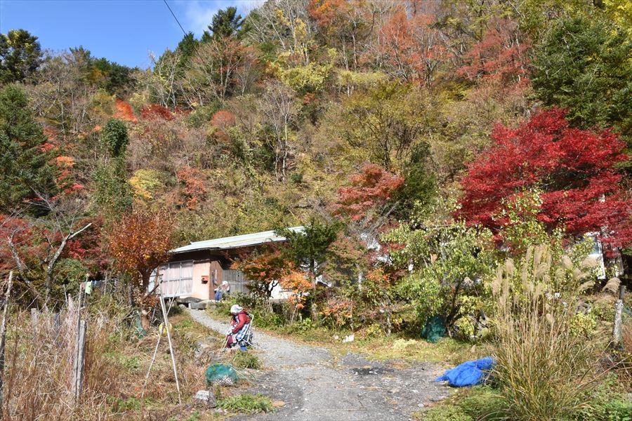 W1000O̍gtA̗ƉcJd狴