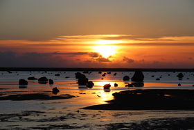 ���₪�����ɓ]����I�ɗǕ����u���a�c�̕l�v�͗[�����������̋L���T���l�C��