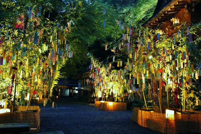 夏の夜を彩る、貴船神社の「七夕笹飾りライトアップ」