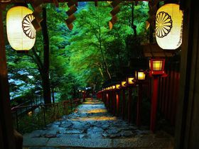 これぞ京都の夕涼み！貴船神社「七夕笹飾りライトアップ」