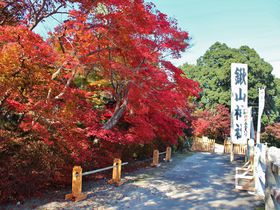 内緒だよっ！京都亀岡「鍬山神社」が混雑知らずの紅葉名所ということは。