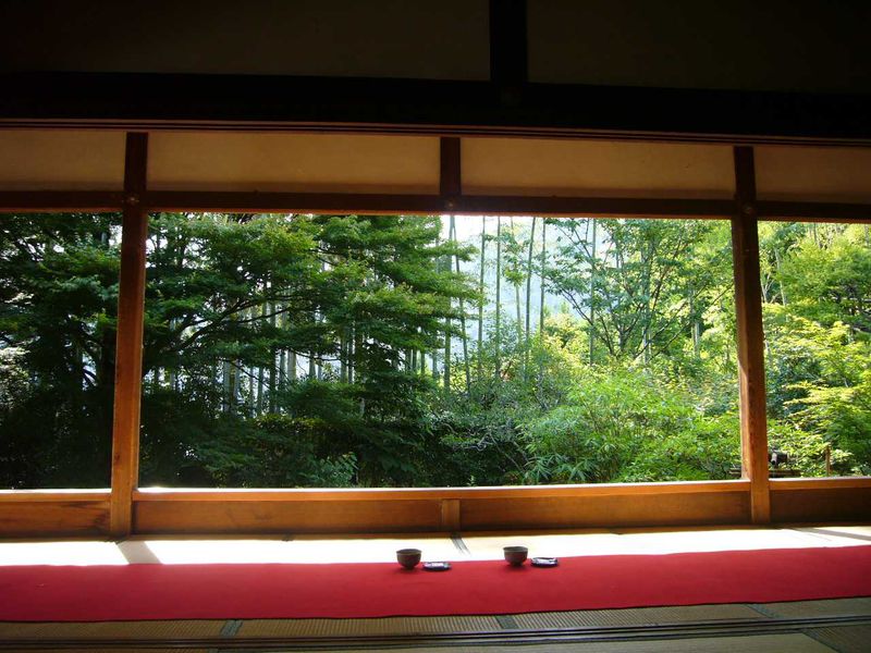 静寂に包まれた額縁庭園を味わう。京都大原「宝泉院」