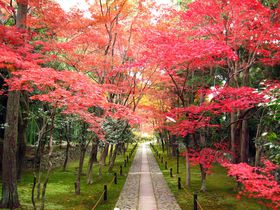 ���s�E���d��������g�t�߂���`�����@�Ɩk��V���{�̋L���T���l�C��