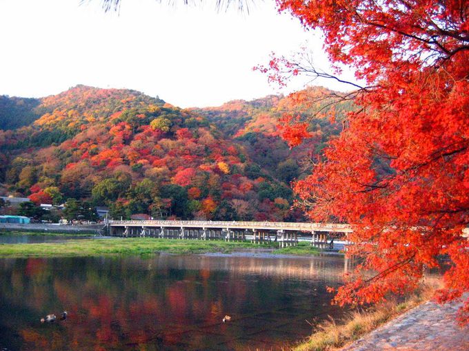 これぞ、ニッポンの紅葉「嵐山」。大人気の天龍寺も攻略！
