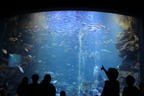 �����ő勉�̓����^�����فI�u���s�����فv�̋L���T���l�C��