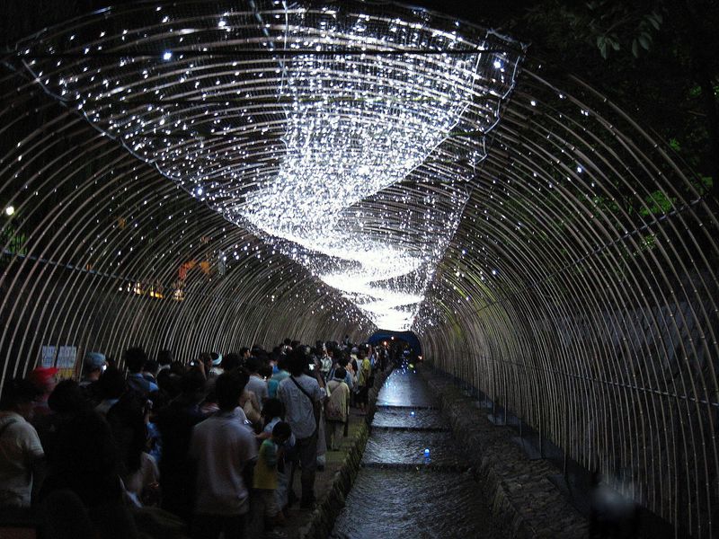 ”願いを京都に” 夏の京都ライトアップイベント「京の七夕」