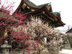 �h�Ί��O�F�h�@�~�̋��s�Łu���|�~�v���߂��낤�I�̋L���T���l�C��