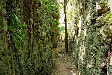 �􂯂��n�I�u�o���o����v�͒n�k�ϓ��̊��]�[���I�`��哌��