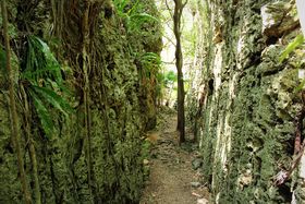 􂯂nIuoov͒nkϓ̊][I`哌̋LTlC