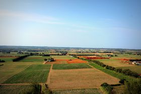 ̓IČǓE哌iT|CgTII̋LTlC