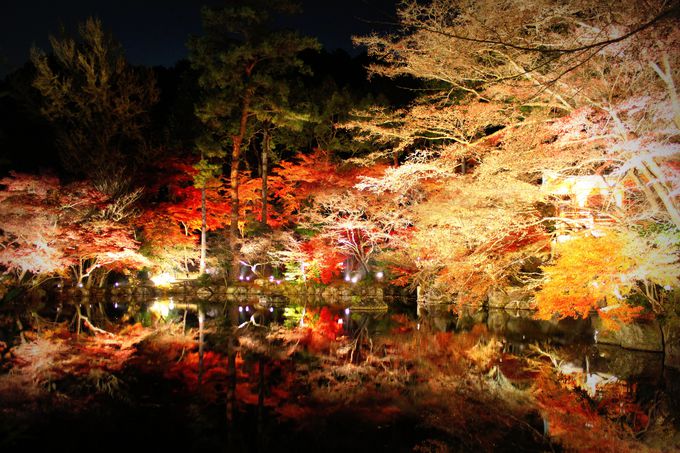いざ『祈りの世界』へ！京都の紅葉ライトアップ「醍醐寺」