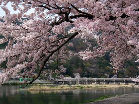 ���R�̖��͍Ĕ����I�S�Ă�������w���R�E�n�����x�O��K�C�h�I�̋L���T���l�C��