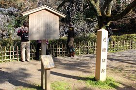 ��D������X�^���v�����[�I�H�w���s�䉑���j�ӂꂠ���̓��x�̋L���T���l�C��