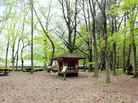 「京都御苑」にはメルヘンチックな森の図書館がある！