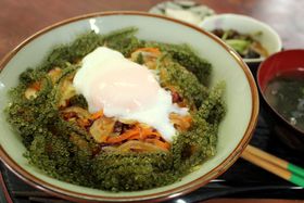 �{�Ó��u���ނ΂�H���v�Ő�i�̓��_�R�����������_�R���I�̋L���T���l�C��