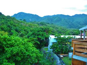 「西表島ジャングルホテル パイヌマヤ」はイリオモテヤマネコに会えるホテル！？