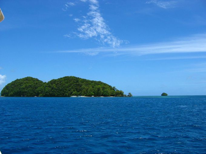 太平洋の島国パラオにある「イノキアイランド」