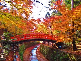 ���s�u�k��V���{�E���݂����v�͒��ړx�㏸���̍g�t�����I�̋L���T���l�C��