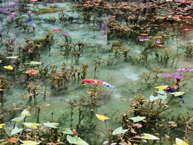 岐阜「モネの池」まるで絵画のような美しさの秘密とは！？