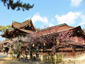 春まで待てない！冬の京都は梅をめぐろう！梅の名所５選