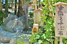 ����u�ɓ��_�Ёv�̍K�����ĂԐ΁I�n�[�g�Ƀ^�b�`�ŉ����т̋L���T���l�C��