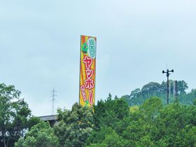 和歌山「ヤッホーポイント」の日本一のやまびこが大人も超楽しい！
