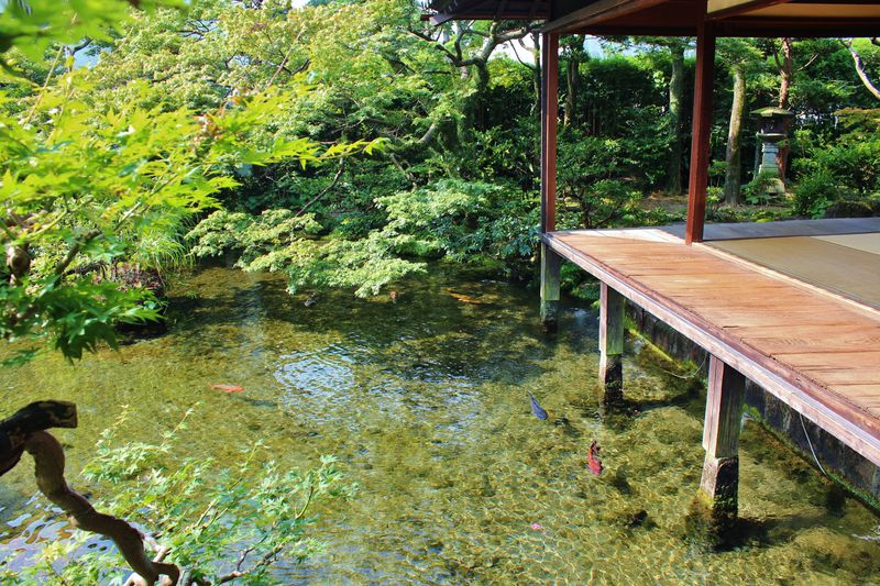 島原「湧水庭園　四明荘」は美し過ぎる水の絶景庭園！