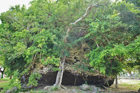 Čx!?Ί_ŒÔg΂߂ĖhЂwڂ̋LTlC