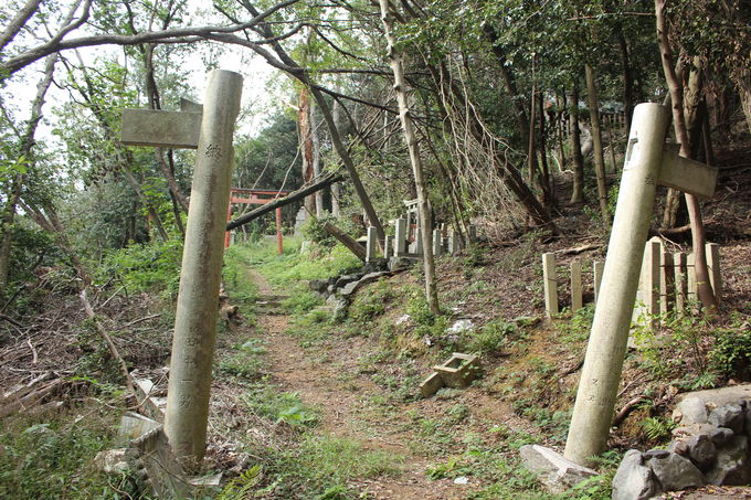 山中に異世界への門 京都 大岩神社 の謎の鳥居とは 京都府 Lineトラベルjp 旅行ガイド