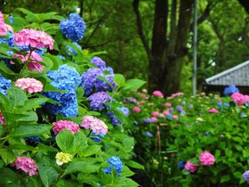 Ă͉Ԃ̎֍sBs̖10I̋LTlC