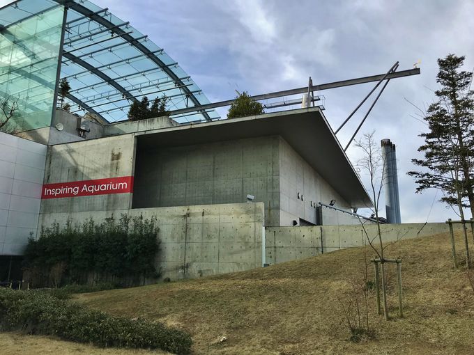 環境水族館 アクアマリンふくしま の見どころ徹底ガイド 福島県 トラベルjp 旅行ガイド