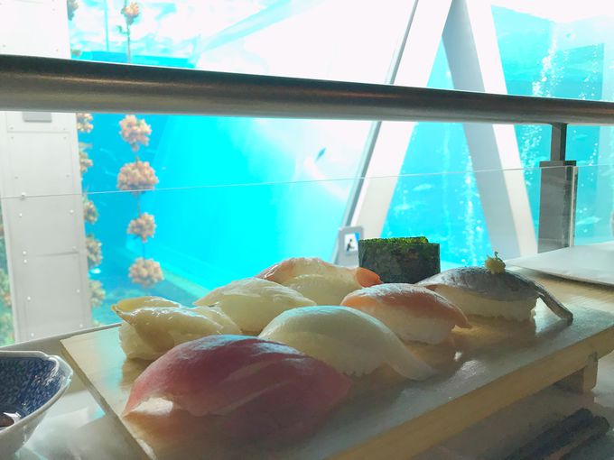 24�D�A�N�A�}�����ӂ�����