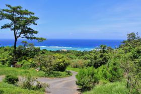 �T���ʑ�����������ŁBAirbnb�ő̌������l�̋x���̋L���T���l�C��