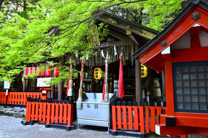 �����G���A�̐��݂��X�|�b�g