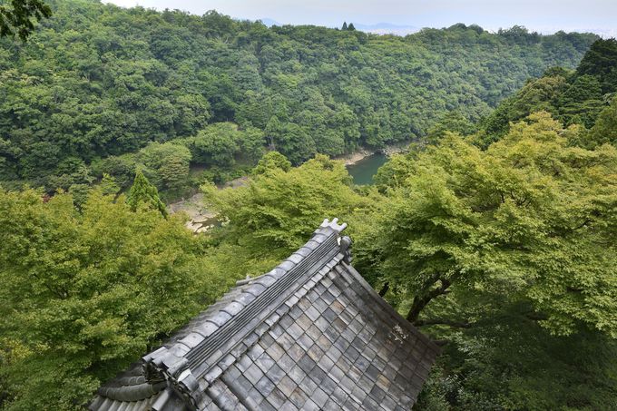 �������ꂽ�G���A�ɂ������^�ڂ�