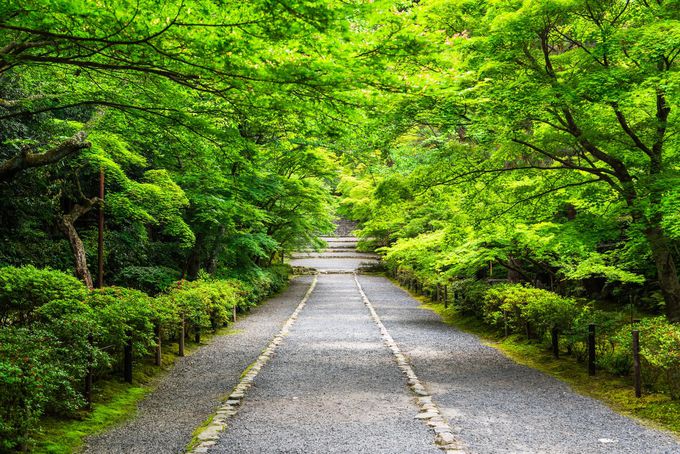 �����G���A�̐��݂��X�|�b�g