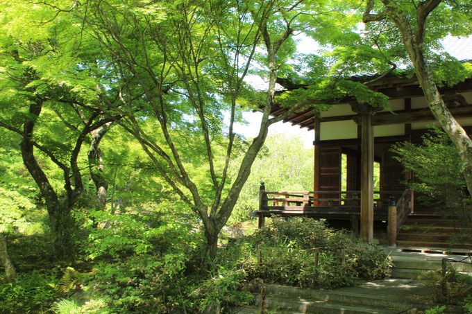 �������G���A�̐��݂��X�|�b�g