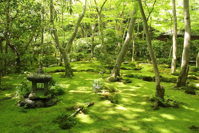 �������G���A�̐��݂��X�|�b�g