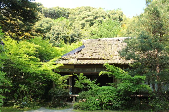 �������G���A�̐��݂��X�|�b�g