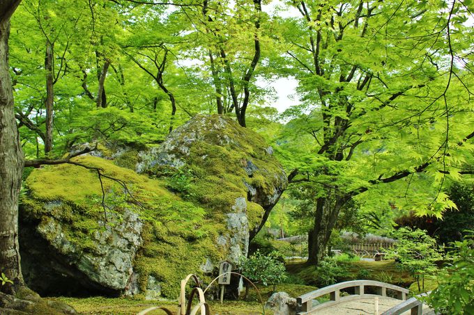 �n�������ӂ̐��݂��X�|�b�g