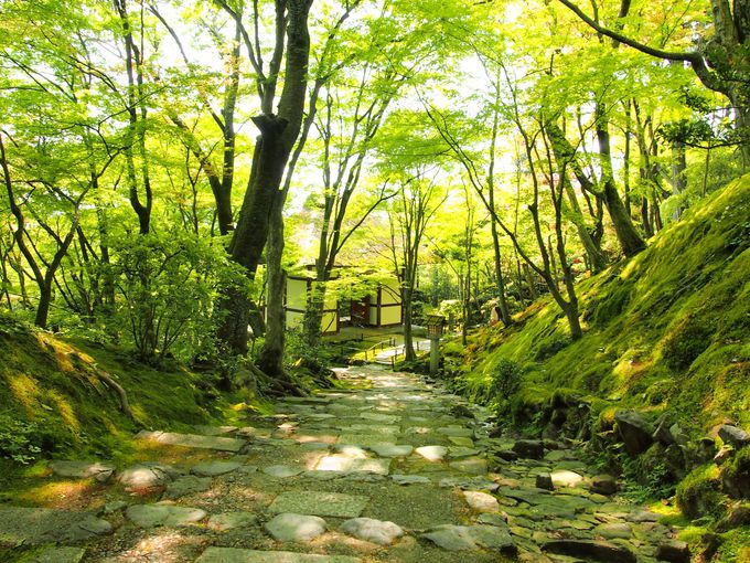 �����G���A�̐��݂��X�|�b�g