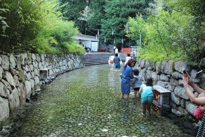 夏の京都観光 おすすめはコレ 暑さも涼しさも楽しもう 京都府 Lineトラベルjp 旅行ガイド