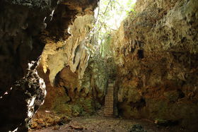 ����E�ɗǕ����u�k�h�N�r�A�u�v�͒m��ꂴ��p���[�X�|�b�g�I�̋L���T���l�C��