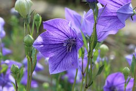 iقIsTŖqG䂩̒n߂낤̋LTlC