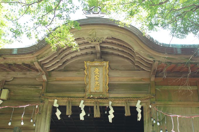 京都 愛宕神社 へ参拝 火の神様 愛宕山に登ろう 京都府 Lineトラベルjp 旅行ガイド