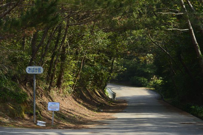 車が勝手に坂道を登る 久米島 おばけ坂 のミステリーを体験しよう 沖縄県 トラベルjp 旅行ガイド