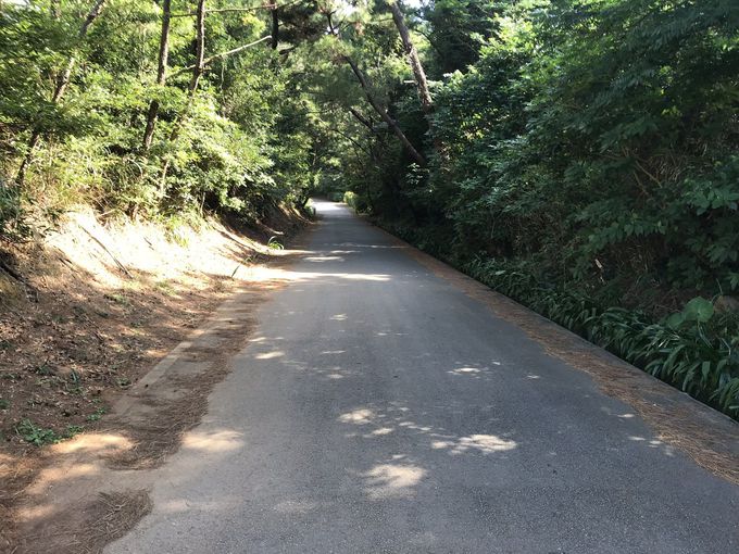 車が勝手に坂道を登る 久米島 おばけ坂 のミステリーを体験しよう 沖縄県 トラベルjp 旅行ガイド