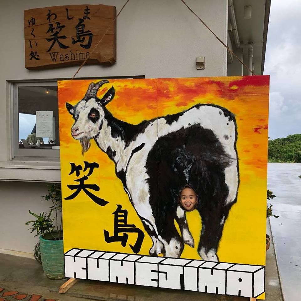 謎の パンダヤギ に会いに久米島へ行こう 沖縄県 Lineトラベルjp 旅行ガイド