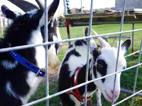 ́up_Mvɉɋvē֍sI̋LTlC