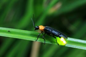 �u�v�ē��z�^���فv�̃~�X�e���[�i�C�g�E�H�[�N�Ō܊����������܂��I�̋L���T���l�C��